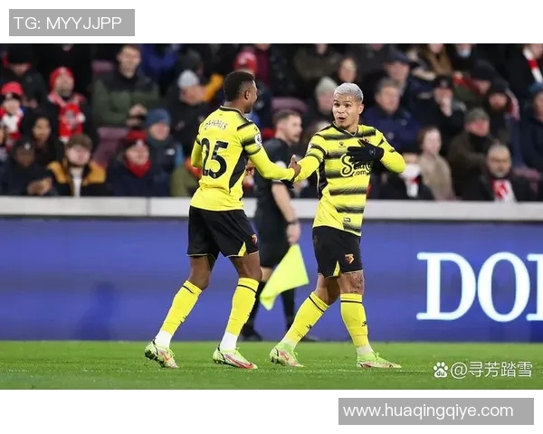 汉诺威96主场不败纪录延续，平多特蒙德领跑德甲豪强